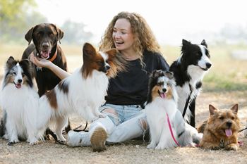 Dog park